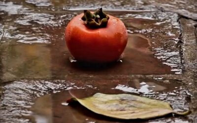 Are You What You Eat